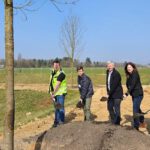 Bierstadt Nord: 83 neue Bäume für die zentrale Grünanlage geplant und gepflanzt