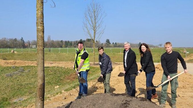 Bierstadt Nord: 83 neue Bäume für die zentrale Grünanlage geplant und gepflanzt