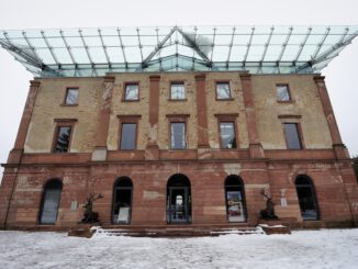 FSC zertifizierte Nordmanntannen aus dem Stadtwald werden am 13. Dezember verkauft