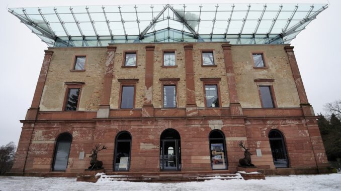 FSC zertifizierte Nordmanntannen aus dem Stadtwald werden am 13. Dezember verkauft