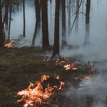 Höchste Waldbrandwarnstufe in Wiesbaden führt zu umfassenden Grillverboten und Auflagen