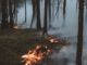 Höchste Waldbrandwarnstufe in Wiesbaden führt zu umfassenden Grillverboten und Auflagen