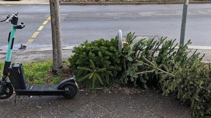Limbubrg richtet Sammelstellen und Abholtermine für Weihnachtsbäume ein