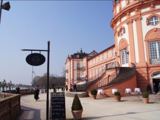 Rheingauer Winzer stellen Weine im Schloss Biebrich vor