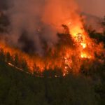 Wiesbaden erhöht Waldbrandwarnstufe auf 5 und Grillverbot in Taunusstein bleibt bestehen