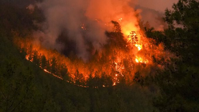 Wiesbaden erhöht Waldbrandwarnstufe auf 5 und Grillverbot in Taunusstein bleibt bestehen