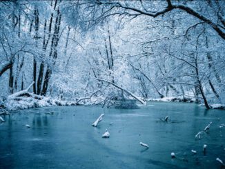 Wiesbaden warnt vor Betreten gefrorener Gewässer: Schiersteiner Hafen besonders gefährdet