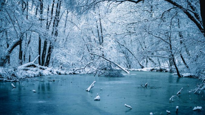 Wiesbaden warnt vor Betreten gefrorener Gewässer: Schiersteiner Hafen besonders gefährdet